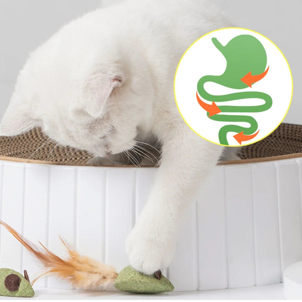 Mouse Cat Toys Catnip Feather Ball Self Cleaning Teeth Interactive Home Chasing Game Toy Products Cat Mint Ball Training Toys