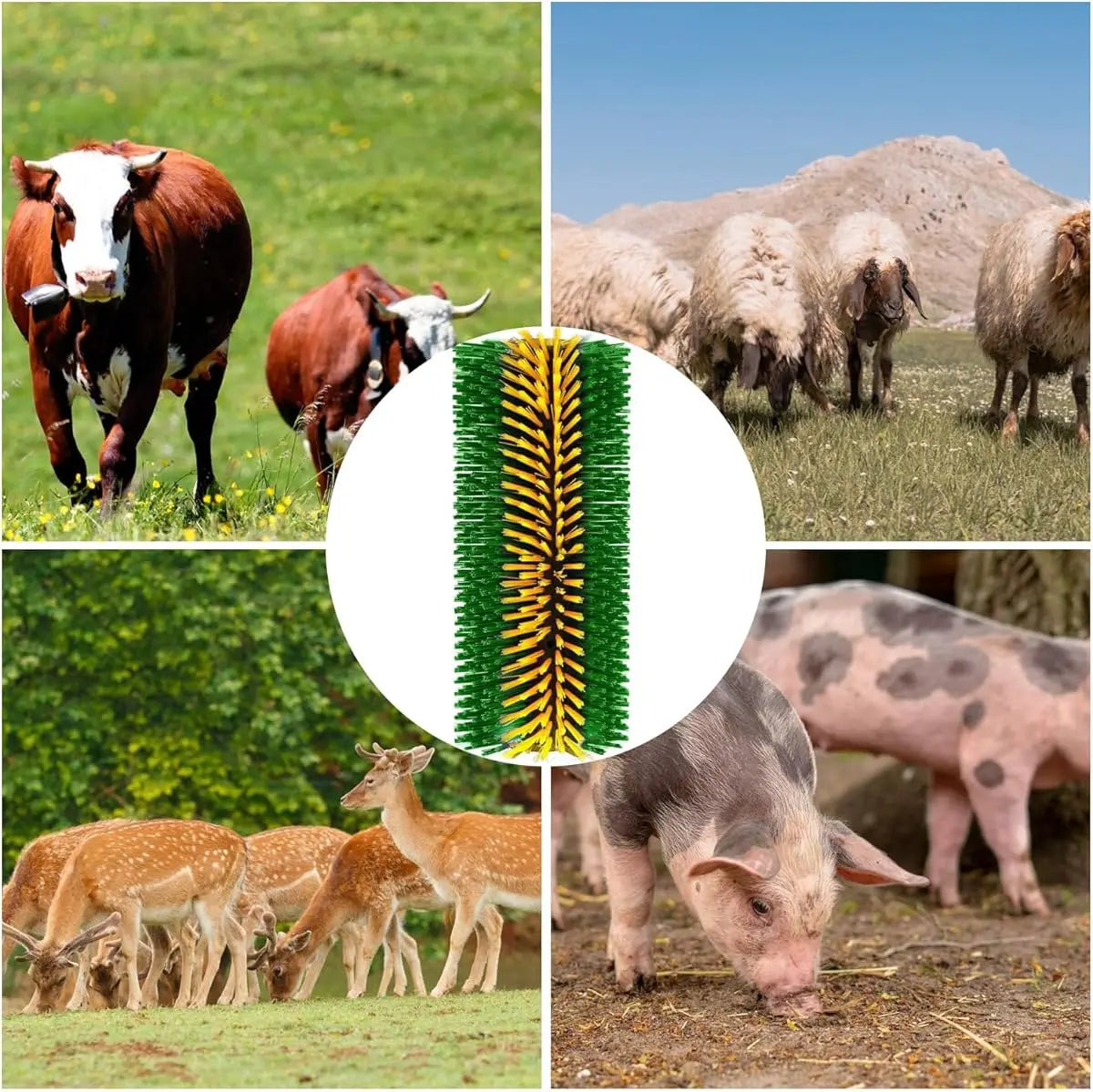 2 Livestock Cleaning Brushes 45cm Length Curved Design Nylon Bristles for Cattle Horses Sheep