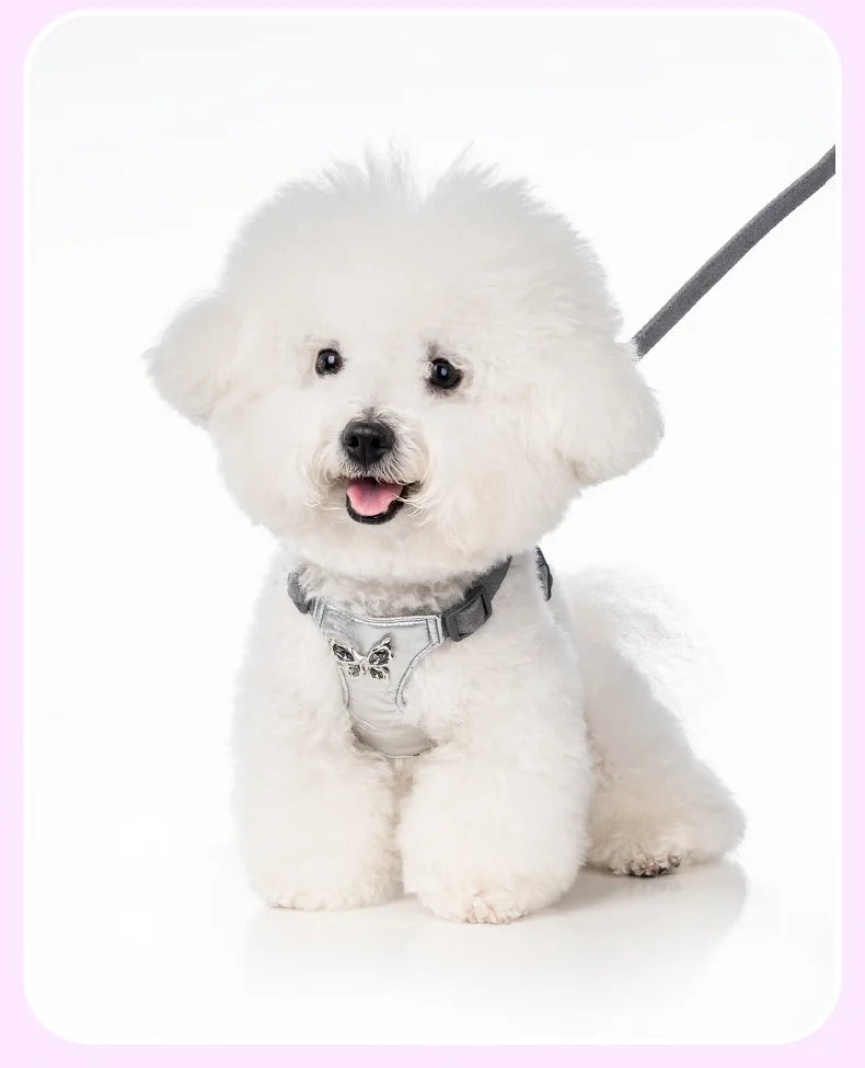 Butterfly Decor & Matching Leash Dog Harness for Small Dogs - Escape Proof Lightweight Vest