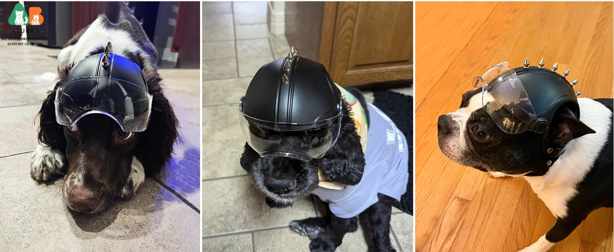 ATUBAN Dog Helmets for Small Dogs, Dog Helmet with Clear Lens Goggles, Doggie Helmets Hat with Ear Holes,Bike Doggie Helmet Dogs