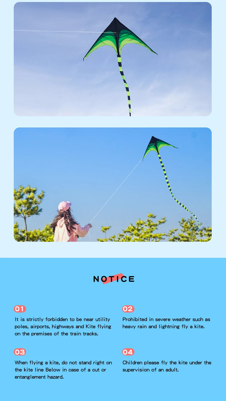 Adult-sized large delta-wing kite. Easy to fly. Extra-large delta-wing kite, equipped with a 6-meter long tail.