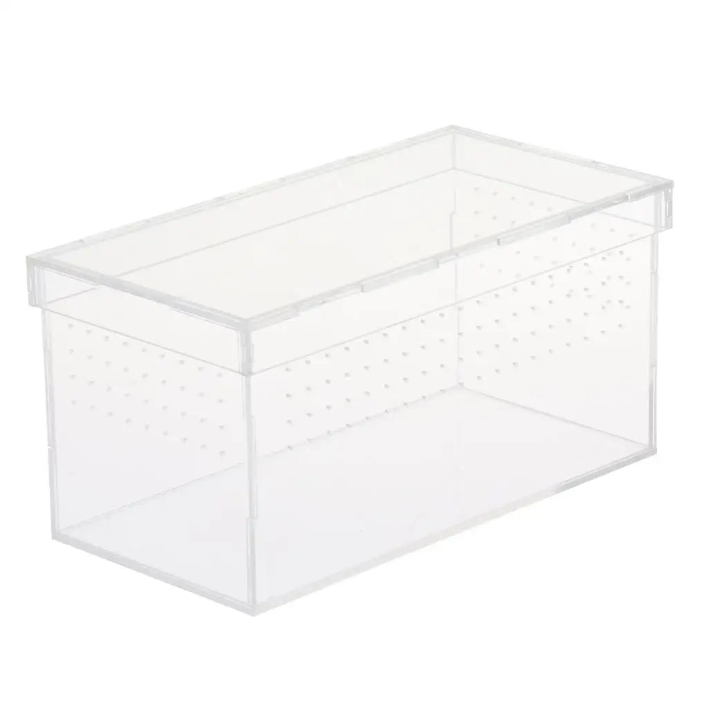 Plastic Reptile Vivarium Terrarium Easy to Observe with Reptile Terrarium Accessories for Small Animal Care