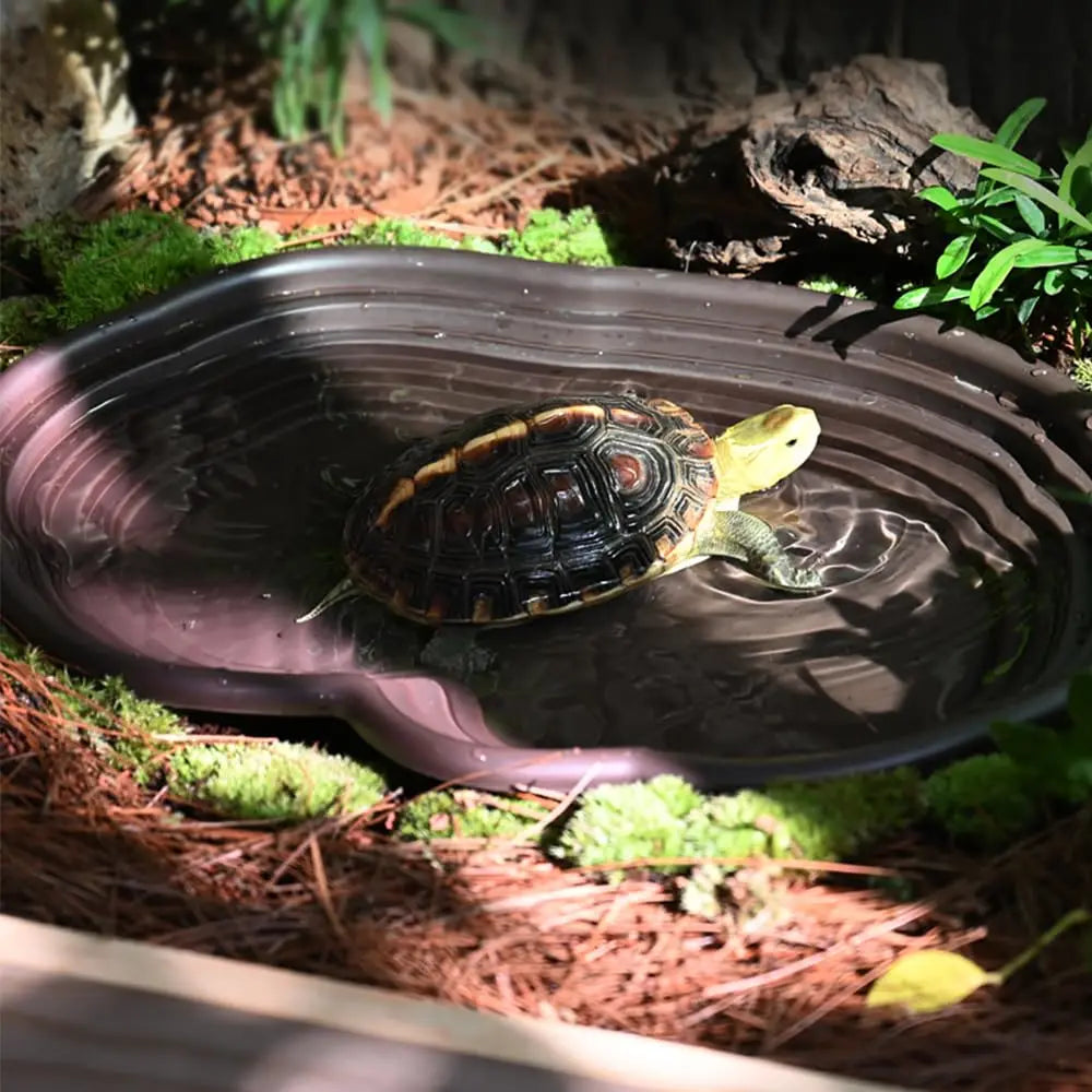 Reptile Bathing Dish Amphibians Habitat Reptile Tortoise Feeder Water Food Bowl Feeding Dish for Bearded Dragons Turtle