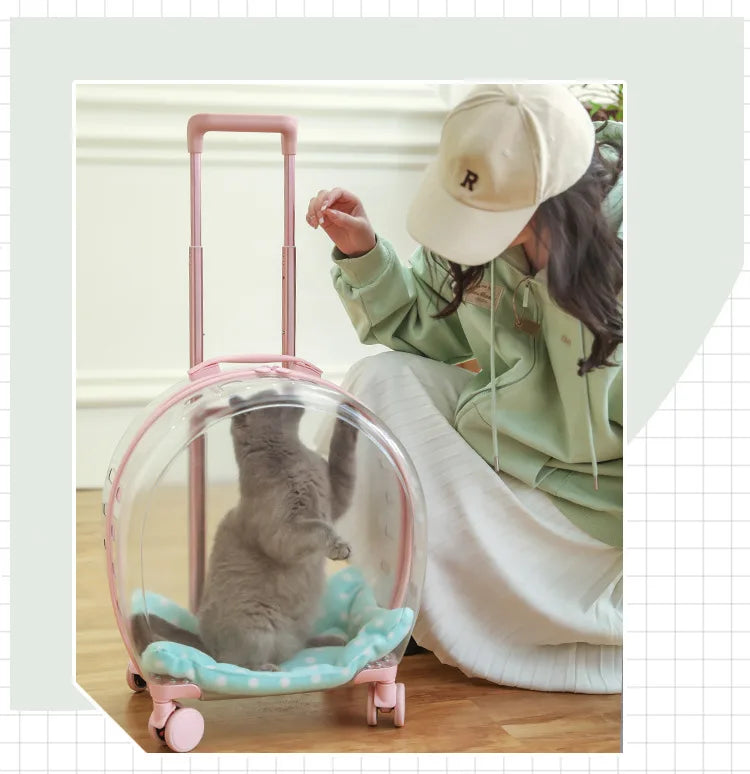 2026 Large Capacity Pet Suitcase for Two Cats Dogs Breathable Clear Wheel Portable Carry-on Luggage Pet Travel Bag