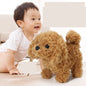 5aa8b21cdc7d2749e3dc9b72c0501c2b