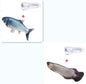 b8aac841fda6ef95d7ee91104c80ad05