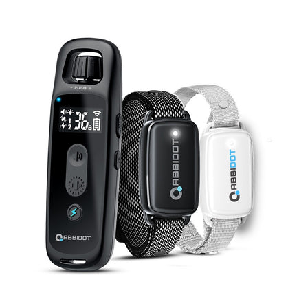 2b56f9732d5544afd8bc21e7c5b94d4f