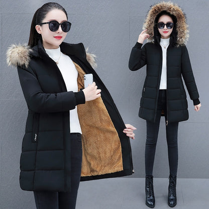 53850fbaf59623faa5d386baed355d06