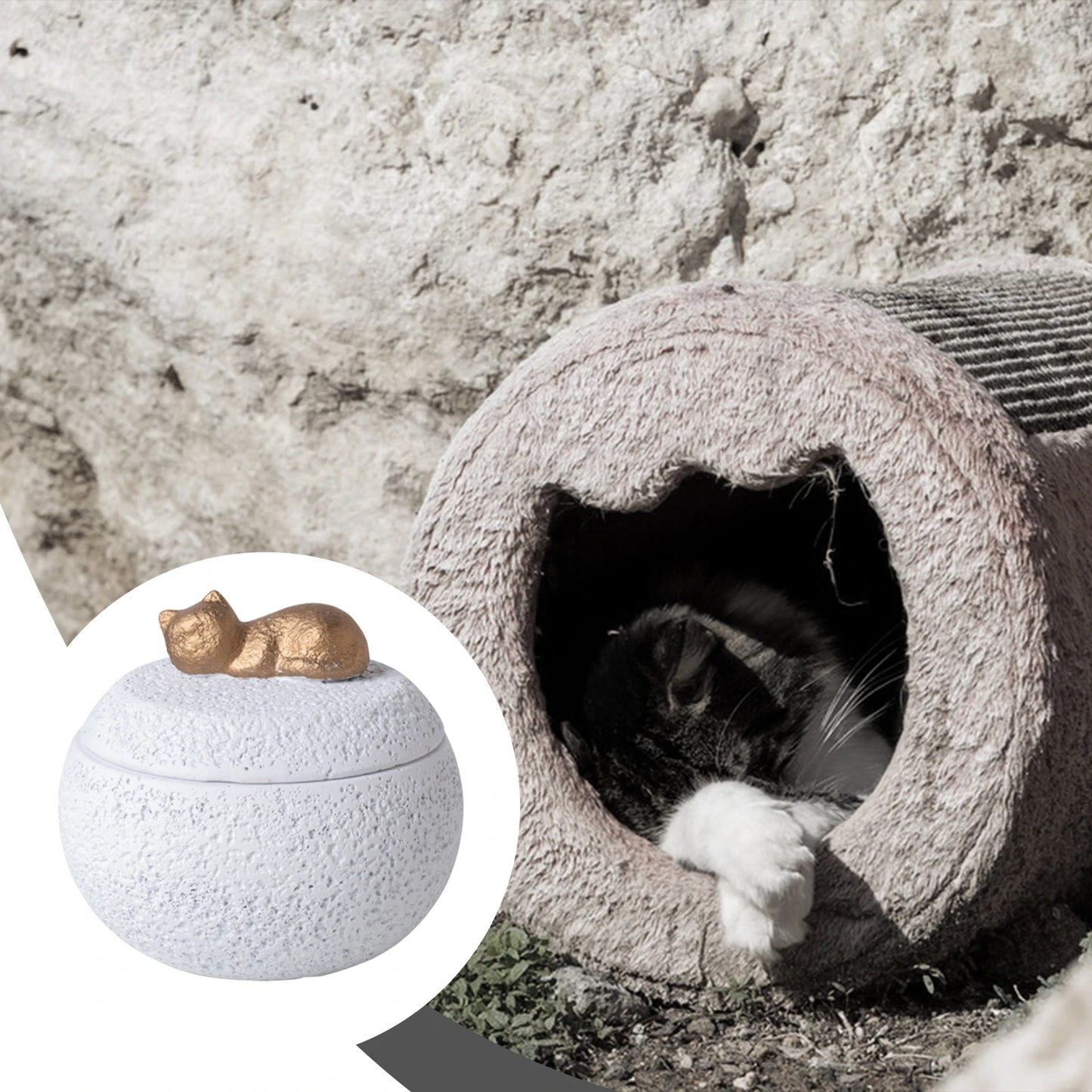 Pet Urn Cremation Memorial Urn Pets Supplies Keeping Precious Memories Urn Box for Burial Final Comforting Resting Place Funeral