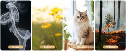 Chuboor Air Purifiers for Home H13 True HEPA for Bedroom Room Kitchen Washroom for Smoke and Dust Pollen Odors PM2.5 Detection 185m³/h CADR Supports Tuya App for 30-40 Square Meters of Clean Purifier Effectively Improve Air