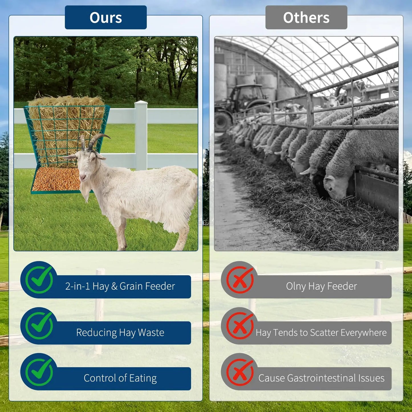 Large Hay Rack, 2 in 1 Large Hay Feeder with Hay and Grain/ Salt Feeder, 60cm Hanging Steel Feeder for Sheep, Goats & Horses Indoor & Outdoor Use