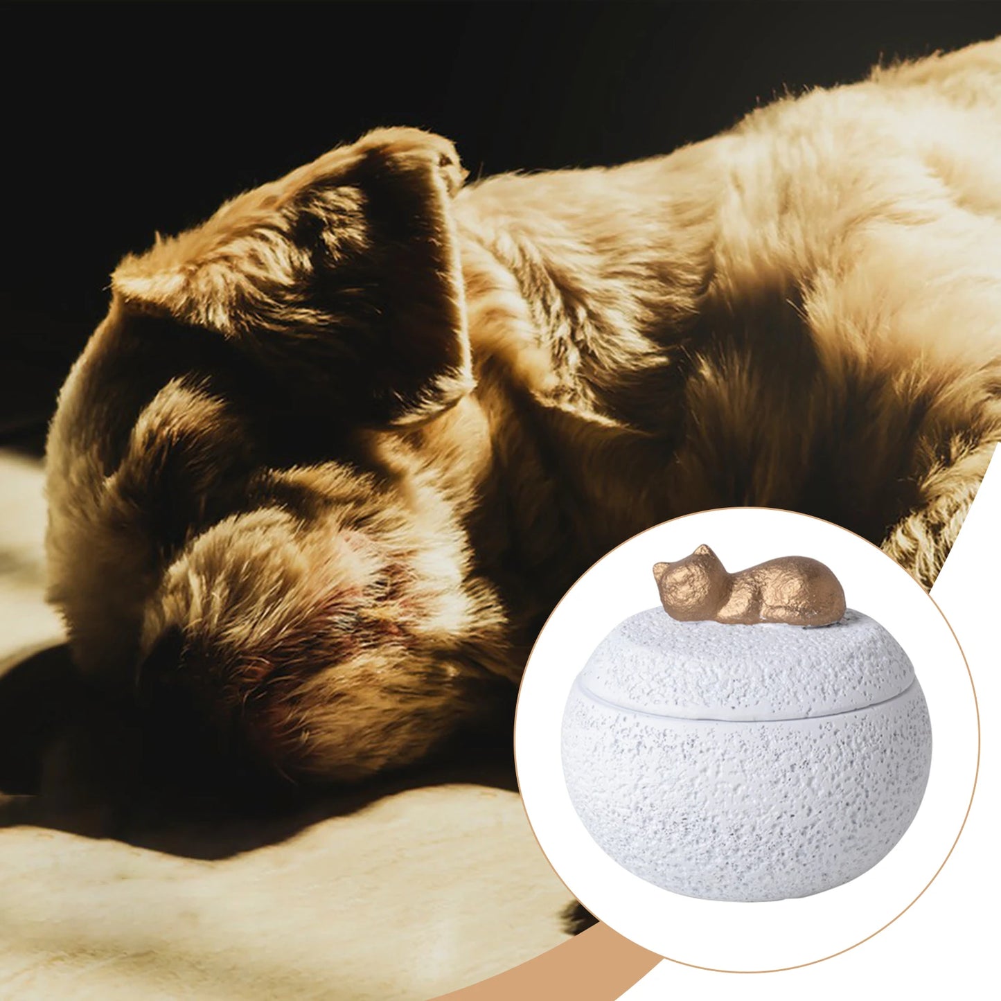 Pet Urn Cremation Memorial Urn Pets Supplies Keeping Precious Memories Urn Box for Burial Final Comforting Resting Place Funeral
