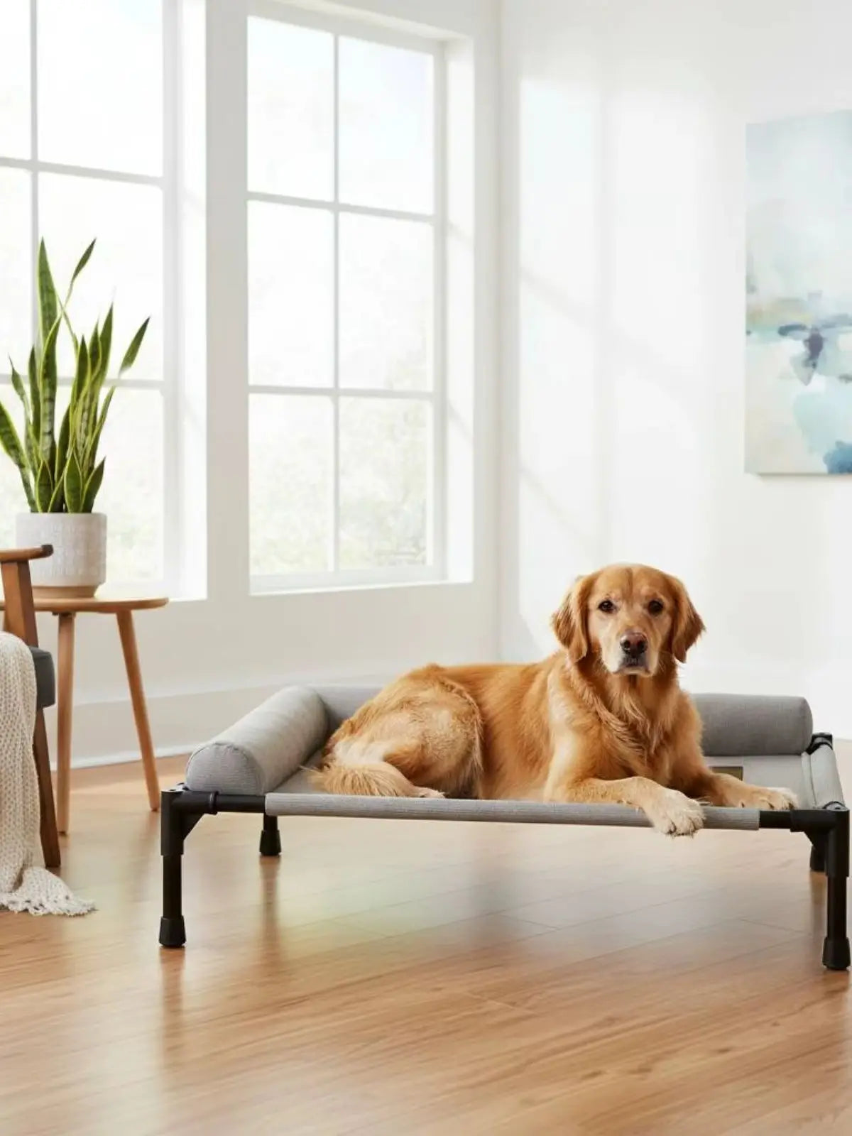 Elevated Pet Bed All-Season Use Raised Dog and Cat Bed Pet Cot Sturdy Frame With Pillow Support for Felines, Travel