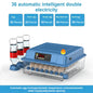220V Mini Digital Egg Incubator with Auto Egg Turning, Low Noise Fan & Heat Insulation Cover for Chicken Duck Quail Pigeon Bird Eggs, Farm & Educational Hatching Machine
