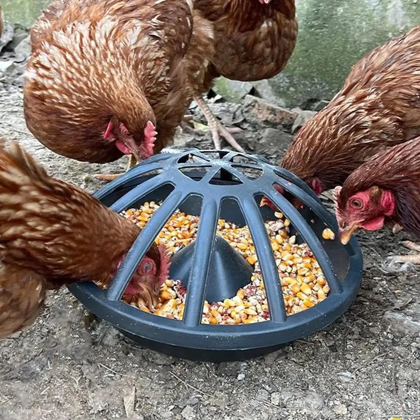 12/18/20 Holes Chicken Feeder Portable Goose Food Dispenser Poultry feed Bucket for Duck Chook Hen Livestock Feeding Supplies