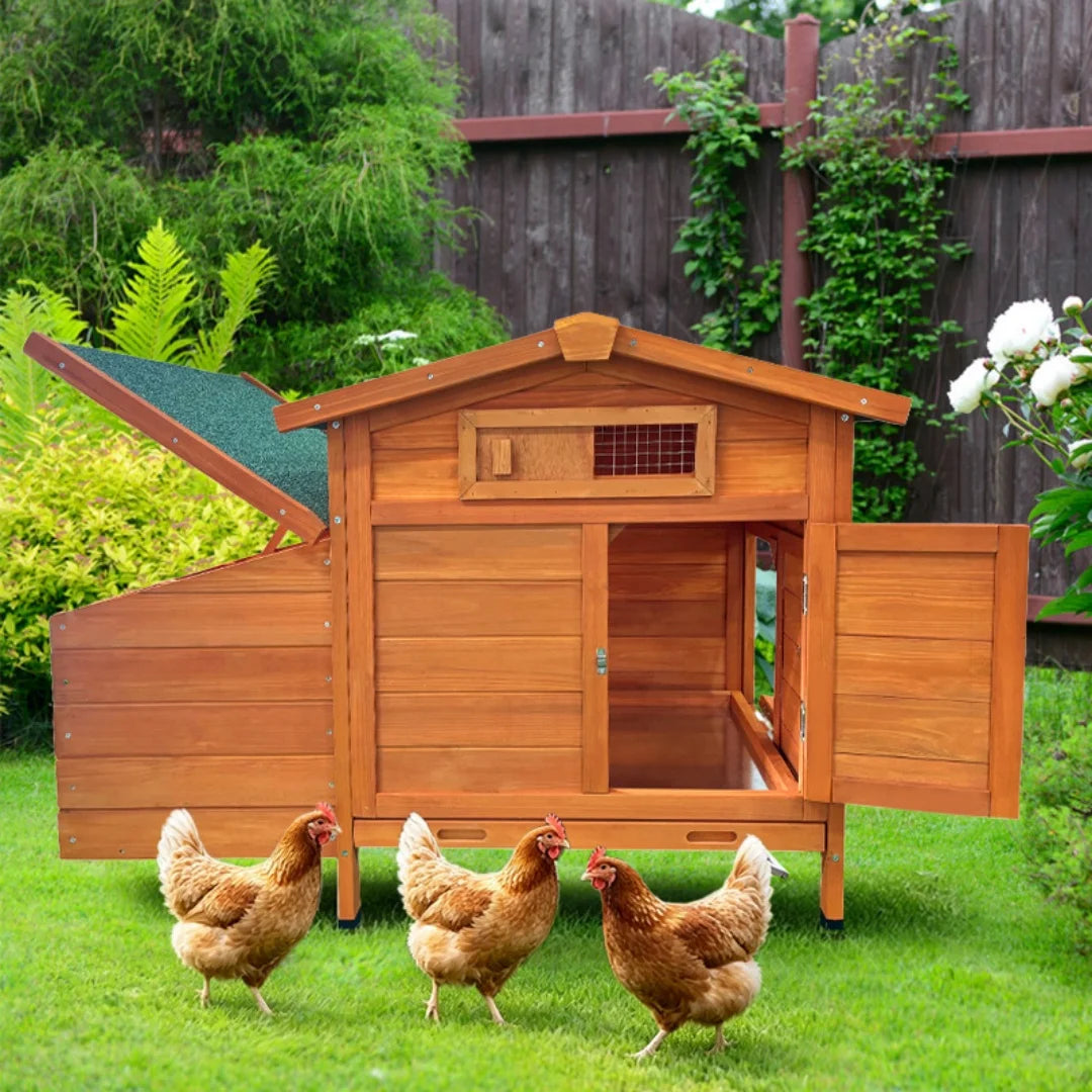 Chicken Coop on Stilts with Wooden Laying Nest Protects Chickens from Predators, Raised Nest, Easy to Clean