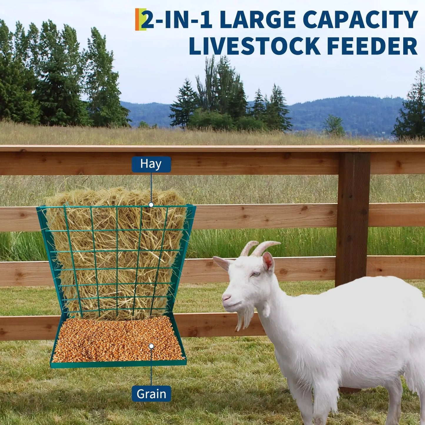 Large Hay Rack, 2 in 1 Large Hay Feeder with Hay and Grain/ Salt Feeder, 60cm Hanging Steel Feeder for Sheep, Goats & Horses Indoor & Outdoor Use