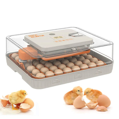 220V Mini Digital Egg Incubator with Auto Egg Turning, Low Noise Fan & Heat Insulation Cover for Chicken Duck Quail Pigeon Bird Eggs, Farm & Educational Hatching Machine