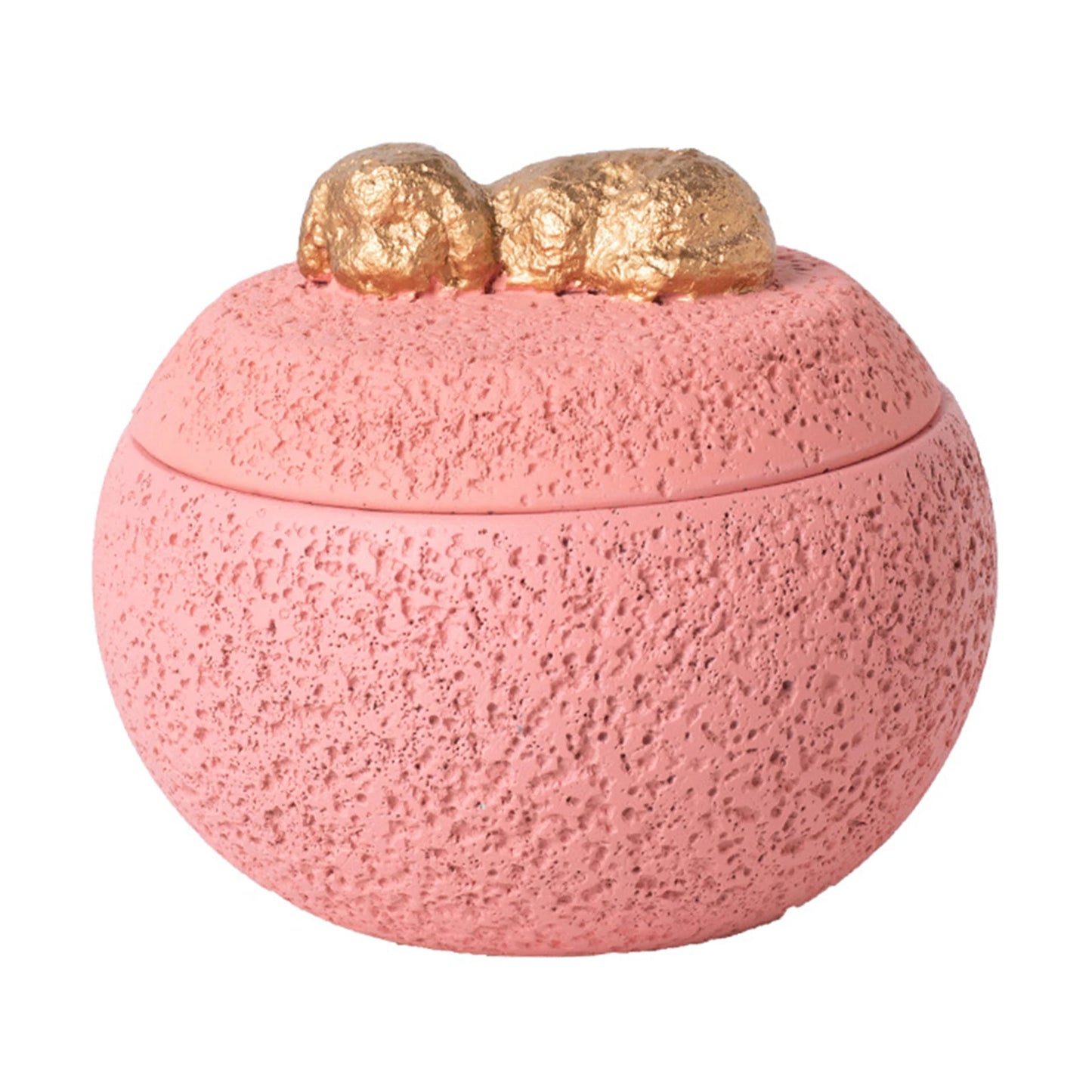 Pet Urn Cremation Memorial Urn Pets Supplies Keeping Precious Memories Urn Box for Burial Final Comforting Resting Place Funeral