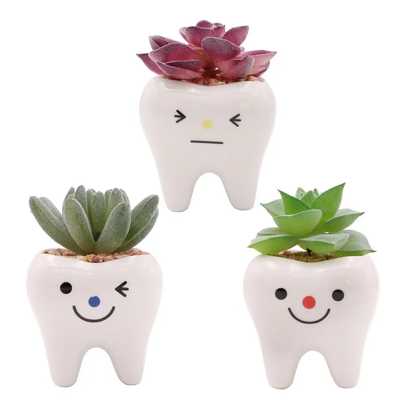 Dental Tooth Shape Flower Vase Home Decoration Pot Creative Garden Planter Pot Ceramic Pen Holder Cute   Dentistry Dentist Gifts