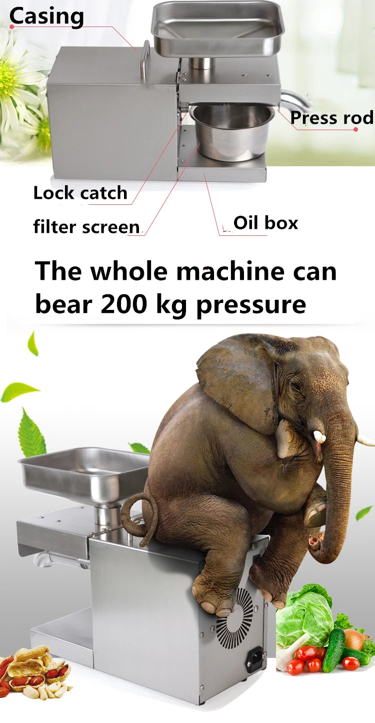 1500W 110V/220V Automatic Cold Press Oil Machine, Cold Press Machine, Sunflower Seeds Oil Extractor, Cold Press Extract