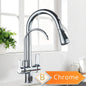 Rozin Purification Kitchen Faucets Black Pull Out Kitchen Water Filter Tap 3 Way Mixer torneira para cozinha de parede Crane