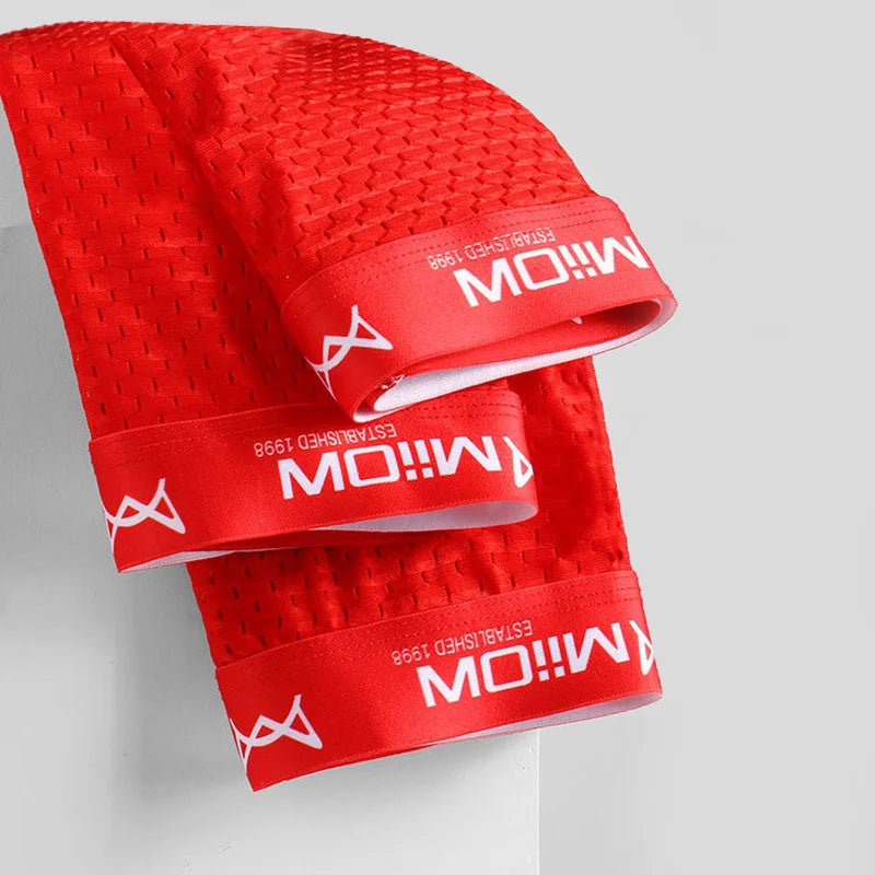 MiiOW 3Pcs Sexy Mesh Men Boxer Underwear Graphene Antibacterial Male Panties Ice Silk Underpants Breathable 4XL Boxershort 2022