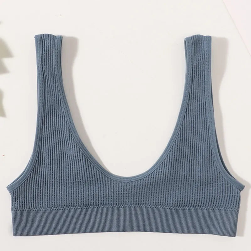 Women Push-Up Bra Small Cup Non-wire Bralette U-Neck Ribbed No-Pad Underwear Multiple Colors Crop Top Ladies Sexy Lingerie M-XL
