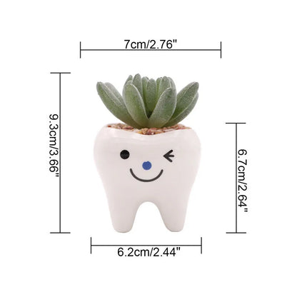Dental Tooth Shape Flower Vase Home Decoration Pot Creative Garden Planter Pot Ceramic Pen Holder Cute   Dentistry Dentist Gifts