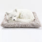 Car Dashboard Ornaments Decor Cute Simulation Plush Cats Dogs Toy Automobiles Decoration Interior Children Gift Auto Accessories