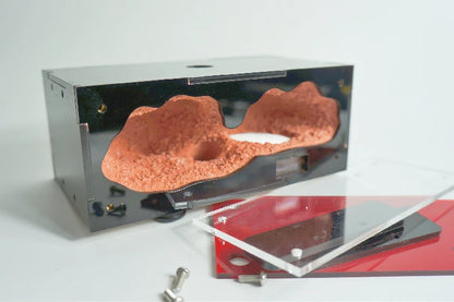 Concrete Ant Farm Acrylic Ant Nest with Hunting Area Unlimited Expansion Ant House Pet Anthill Workshop Moisturizing Insect Box