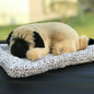 Car Dashboard Ornaments Decor Cute Simulation Plush Cats Dogs Toy Automobiles Decoration Interior Children Gift Auto Accessories