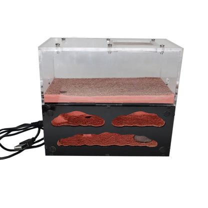 Ecological Ant Farm House with Independent Lights Control Ant Nest Concrete Insect Hotel Pet Anthill Workshop 3 Lights Ant House