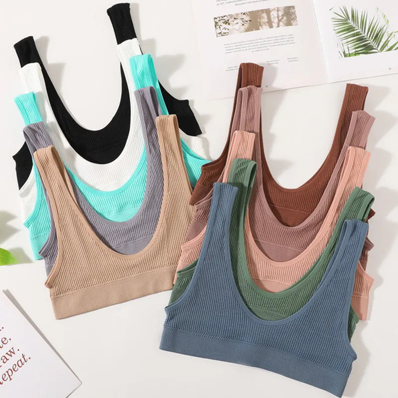 Women Push-Up Bra Small Cup Non-wire Bralette U-Neck Ribbed No-Pad Underwear Multiple Colors Crop Top Ladies Sexy Lingerie M-XL