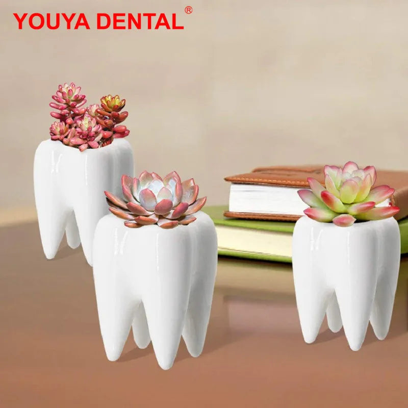 Dental Tooth Shape Flower Vase Home Decoration Pot Creative Garden Planter Pot Ceramic Pen Holder Cute   Dentistry Dentist Gifts