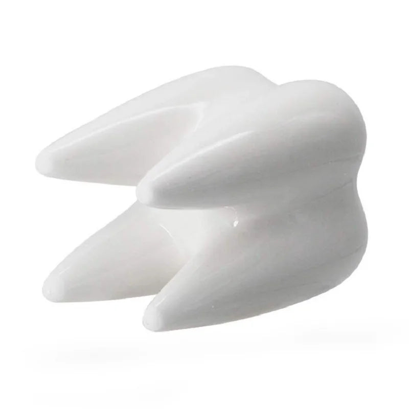 Dental Tooth Shape Flower Vase Home Decoration Pot Creative Garden Planter Pot Ceramic Pen Holder Cute   Dentistry Dentist Gifts