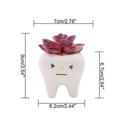 Dental Tooth Shape Flower Vase Home Decoration Pot Creative Garden Planter Pot Ceramic Pen Holder Cute   Dentistry Dentist Gifts