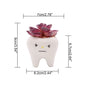 Dental Tooth Shape Flower Vase Home Decoration Pot Creative Garden Planter Pot Ceramic Pen Holder Cute   Dentistry Dentist Gifts