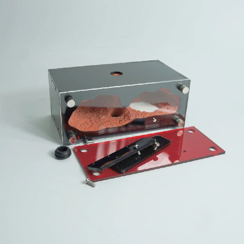 Concrete Ant Farm Acrylic Ant Nest with Hunting Area Unlimited Expansion Ant House Pet Anthill Workshop Moisturizing Insect Box