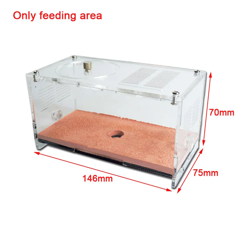 Concrete Ant Farm Acrylic Ant Nest with Hunting Area Unlimited Expansion Ant House Pet Anthill Workshop Moisturizing Insect Box