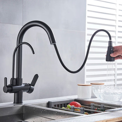 Matte Black Pure Water Kitchen Faucet Dual Handle Hot and Cold Drinking Water Pull Out  Kitchen Mixer Taps