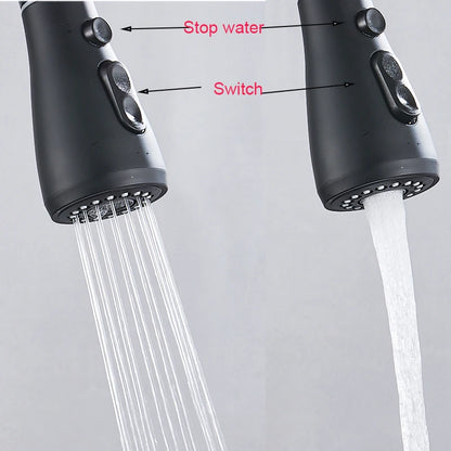 Matte Black Pure Water Kitchen Faucet Dual Handle Hot and Cold Drinking Water Pull Out  Kitchen Mixer Taps