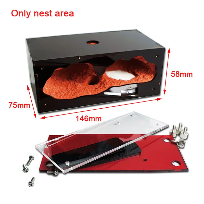 Concrete Ant Farm Acrylic Ant Nest with Hunting Area Unlimited Expansion Ant House Pet Anthill Workshop Moisturizing Insect Box