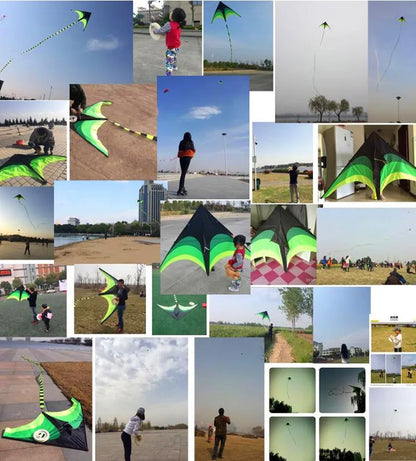 Outdoor Fun Large Delta Kites with 100m Handle Line Flying Toys for Children Kites Outdoor Sports Kites Professional Wind Kites