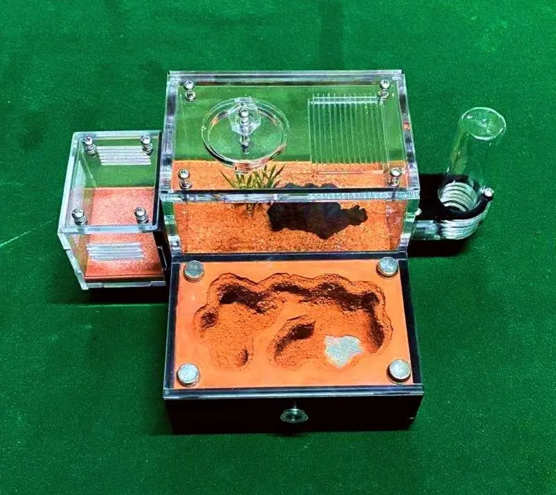 Ant Farm with External Water Tower and Garbage Area Yellow Soil Ant House Queen Breeding Area Ant Nest Anthill Castle Insect Box