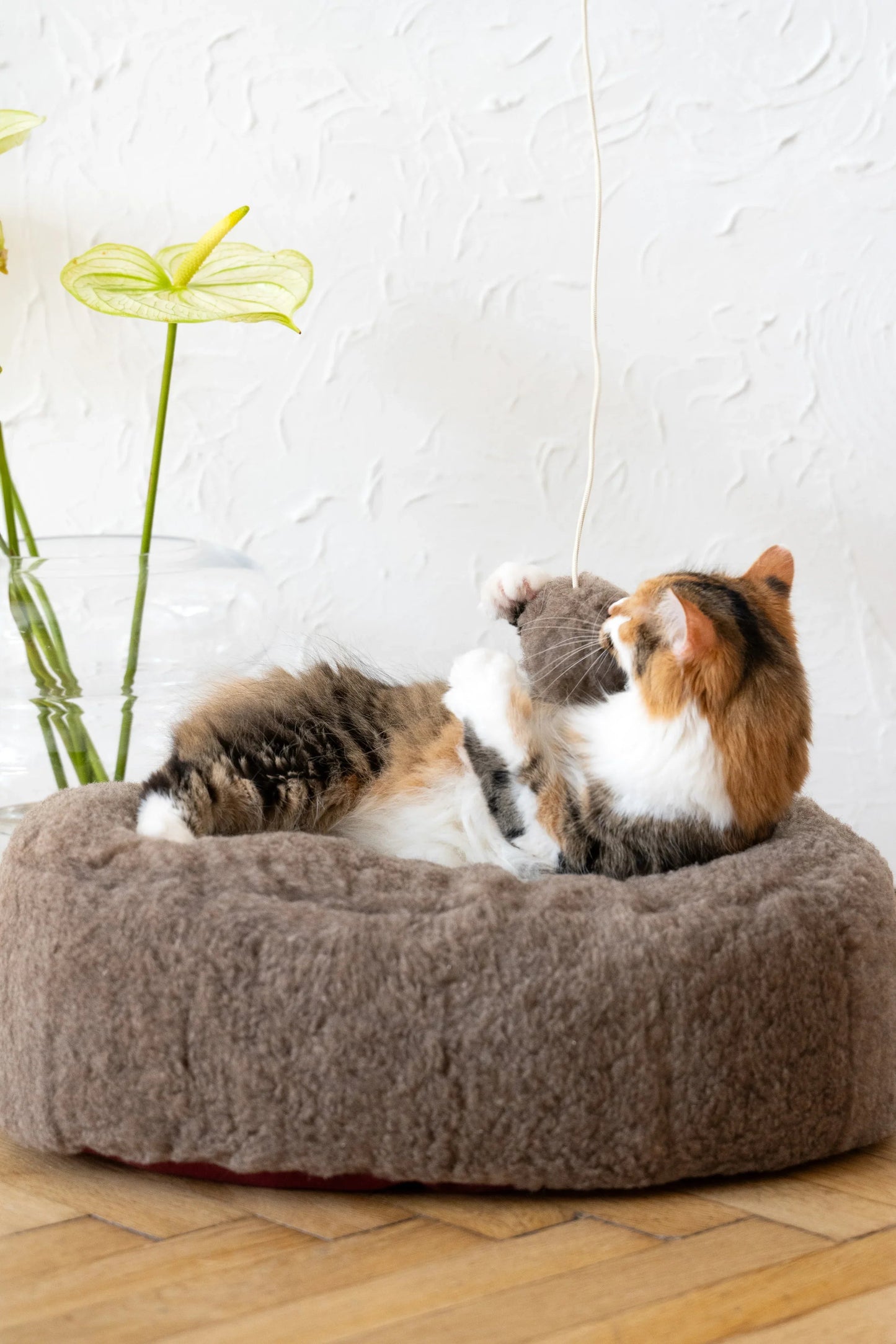 Oval Natural Wool Pet Bed - Beige