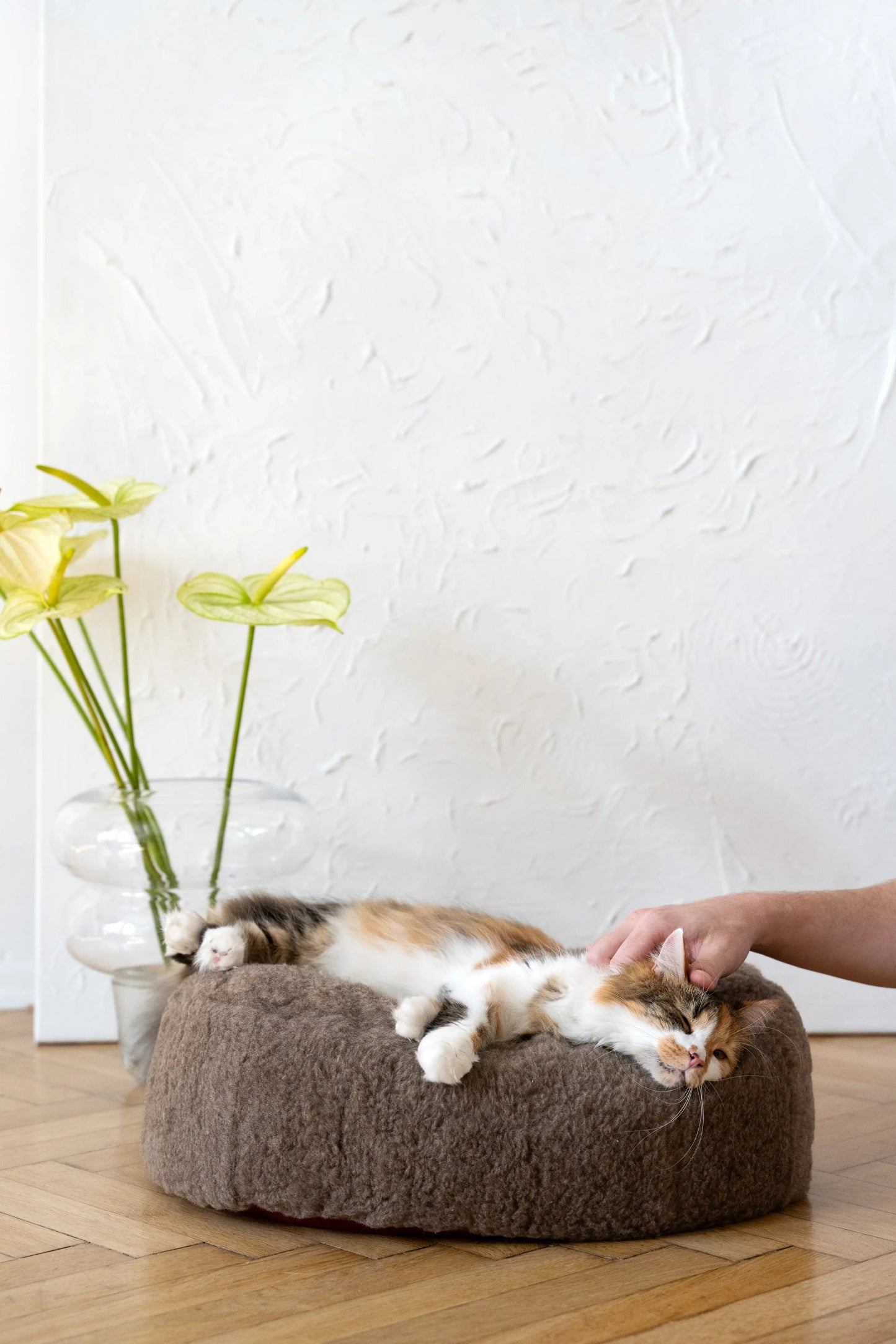 Oval Natural Wool Pet Bed - Beige