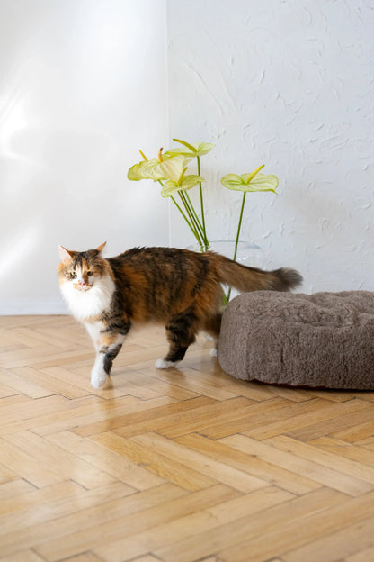 Oval Natural Wool Pet Bed - Beige