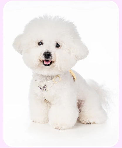 Butterfly Decor & Matching Leash Dog Harness for Small Dogs - Escape Proof Lightweight Vest