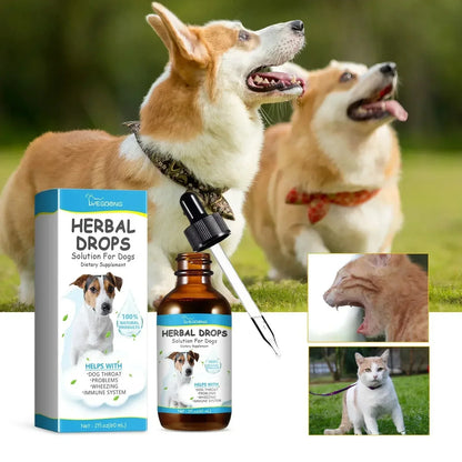 Pet Cough Relief Drops for Dogs, Soothing Throat Support for Sneezing, Natural Respiratory Aid Treat, Helps Immunity Daily Care